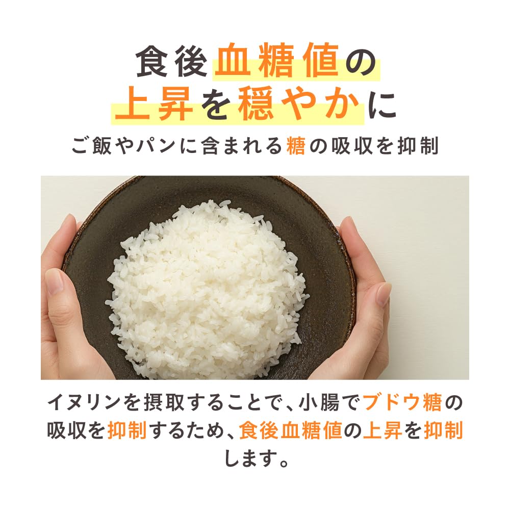 LOHAStyle イヌリン顆粒 500g チコリ由来 水溶性食物繊維